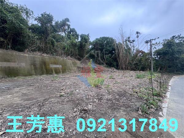 豐原工業地-5
