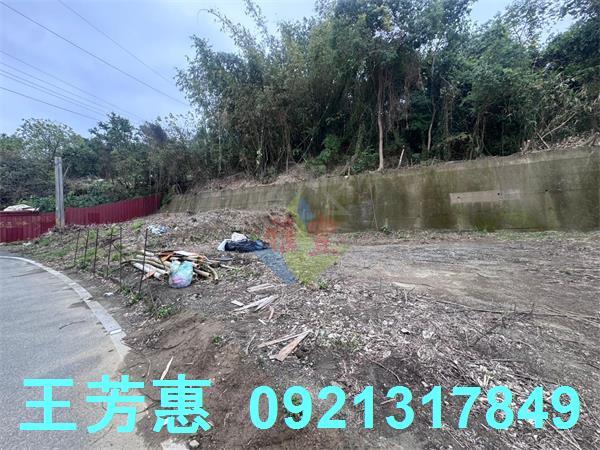 豐原工業地-6