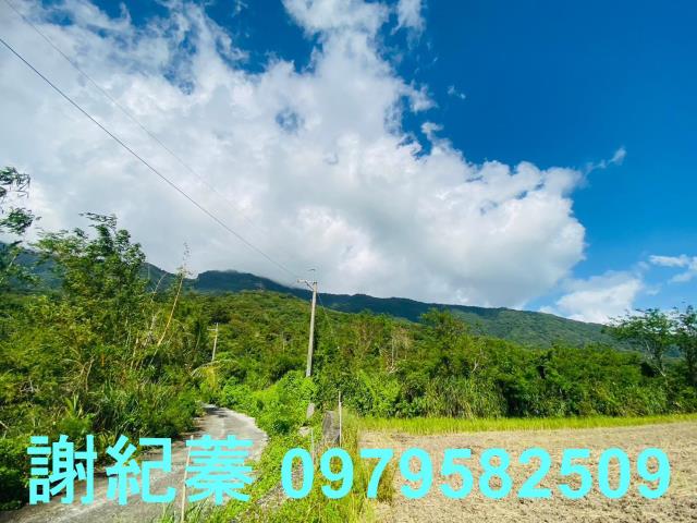 長濱農地-2