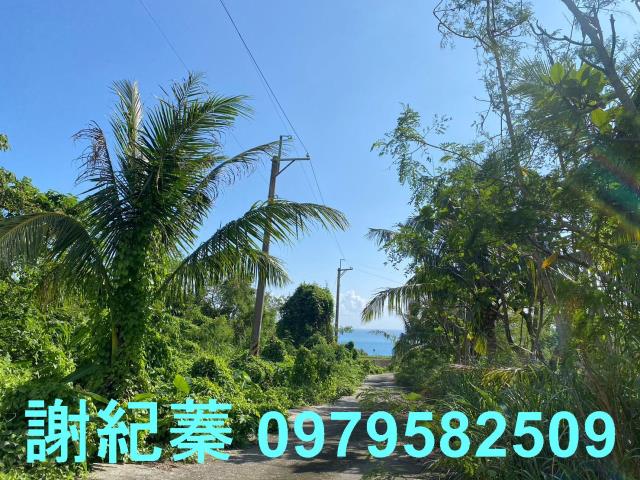 長濱農地-4