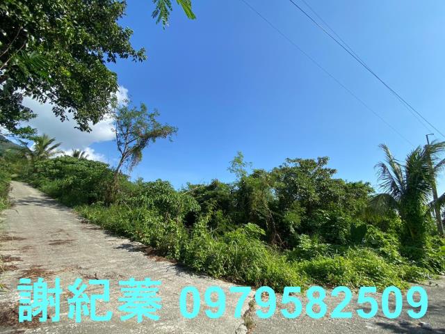 長濱農地-5