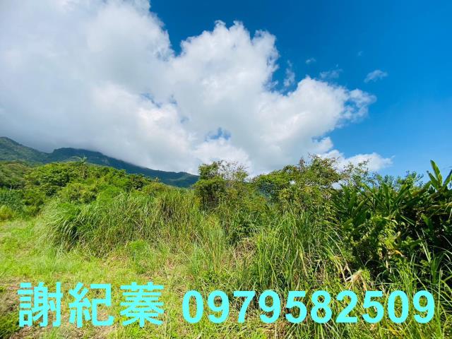 長濱農地-6