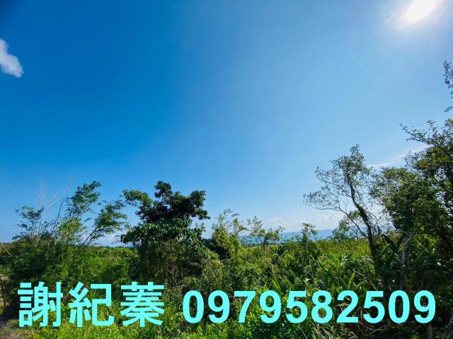 長濱農地-8